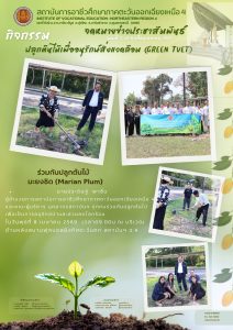 ร่วมกันปลูกต้นไม้ เพื่อเป็นการอนุรักษ์ป่าและช่วยลดโลกร้อน